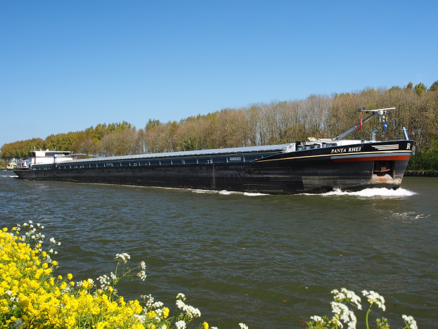 Ein großes Boot fährt einen Fluss mit grünen Bäumen an den Ufern und einem hellblauen Himmel hinunter, mit gelben Blumen am Boden des Bildes.