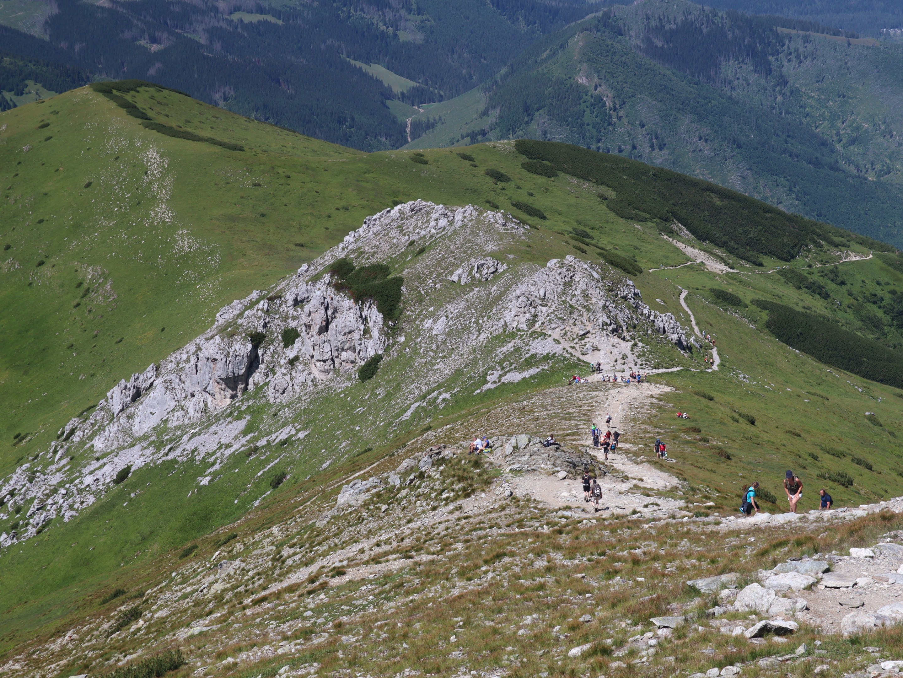 Gruppe von Menschen beim Wandern auf einem Berg mit grüner Wiese und felsigem Gelände, Himmel im Hintergrund sichtbar