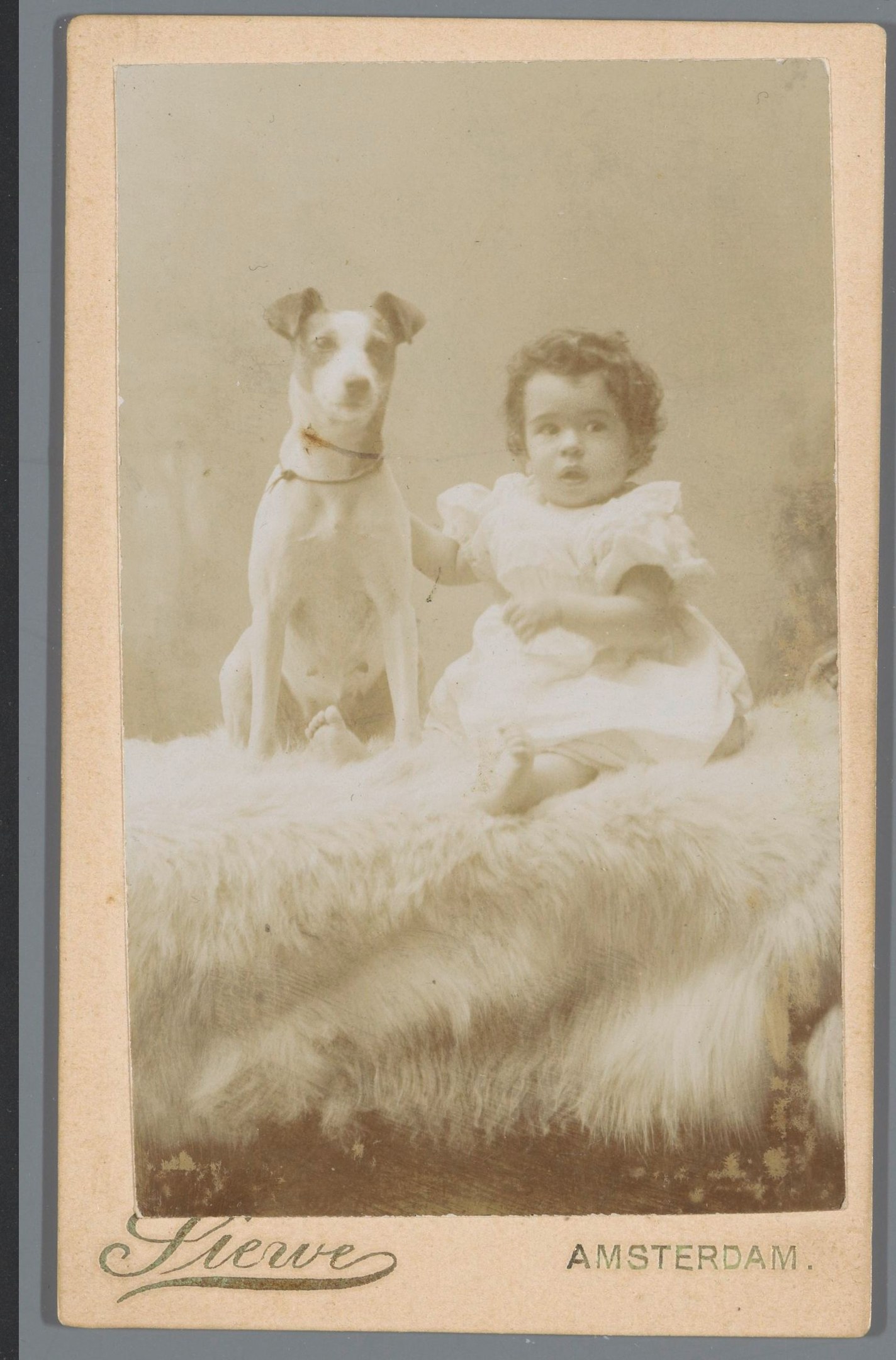 Altes Schwarz-Weiß-Foto eines Babys in einem weißen Kleid, das auf einem Tuch sitzt, mit einem Hund daneben und Text unten.