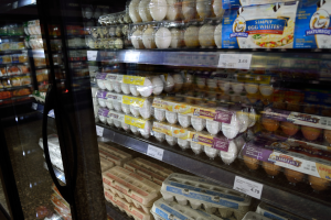 Ein Kühlschrank in einem Supermarkt mit verschiedenen Eiern in Regalen, jeweils mit einem Preisschild, vor einem leicht unscharfen Hintergrund.