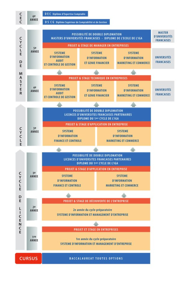Diagramm, das die organisatorische Struktur eines Unternehmens mit interconnected boxes darstellt, die die verschiedenen Phasen des Geschäftswachstums und der Entwicklung darstellen, begleitet von beschreibendem Text.
