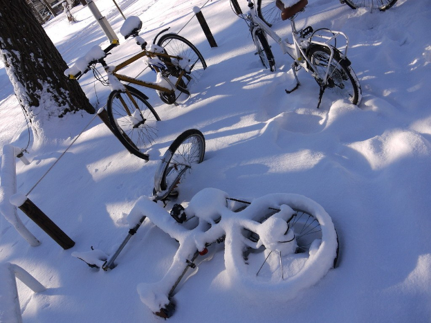 Eine Reihe von Fahrrädern, teilweise mit Schnee bedeckt, neben einem Baumstamm auf einer schneebedeckten Straße geparkt.