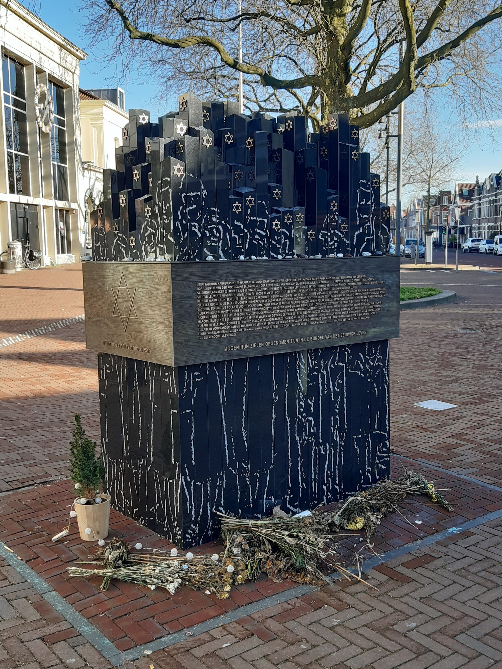 Denkmal in einem Stadtplatz gewidmet an Holocaust-Opfern, mit einem Baum davor, einem Topfgewächshaus auf dem Boden, verstreuten trockenen Blättern und Gebäuden, Fahrzeugen, Masten und Bäumen im Hintergrund.