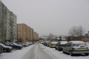Eine Wohnstraßenszene mit Häusern, Bäumen, Autos und Strommasten auf beiden Seiten, die von Schnee bedeckt ist.