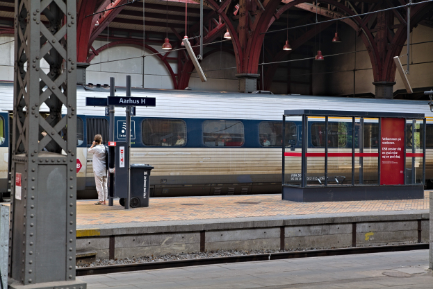 Ein Zug fährt auf einem Bahnsteig ein, auf dem eine Person steht, mit einem Müllcontainer, Pfosten, Informationsanzeigen und Deckenleuchten.