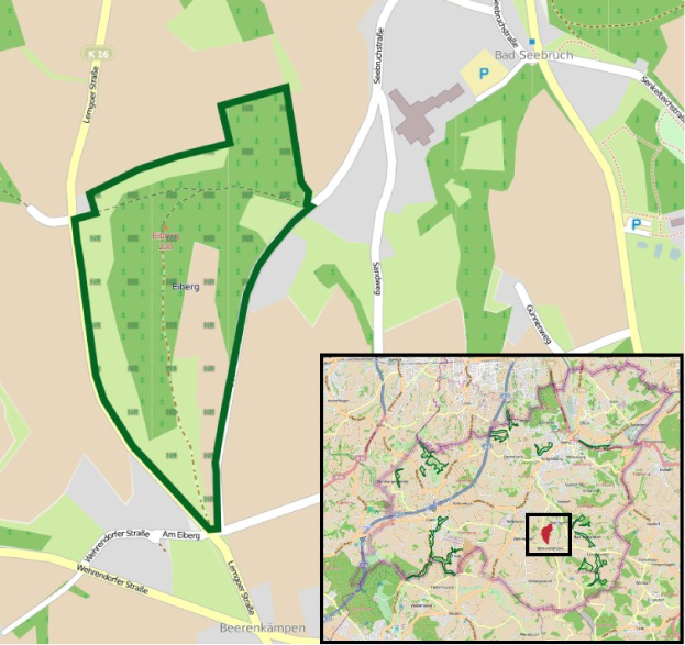 Ein detaillierter Stadtplan, der einen zentralen grünen Bereich als geplanten Baustandort hervorhebt, mit umliegenden Straßen, Gebäuden und Sehenswürdigkeiten.