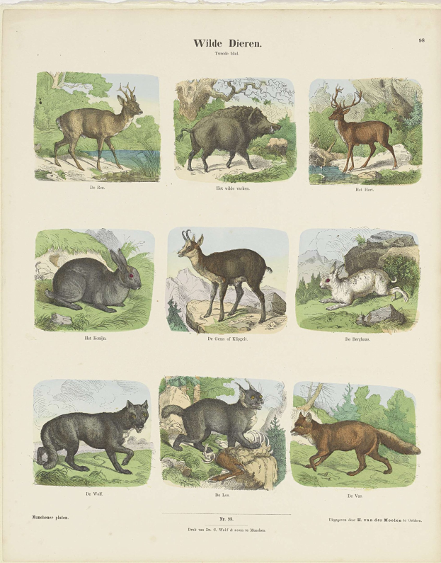 Ein Buchumschlag mit Illustrationen von Wildtieren wie einem Hirsch und einem Kaninchen, mit sichtbarem Text auf dem Papier.