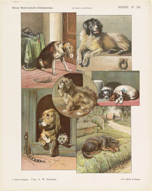 Eine Buchseite mit Abbildungen verschiedener Hunderassen und begleitendem Text.