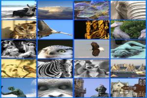 Ein Collage mit verschiedenen Tieren, darunter Kühe, ein Zebra und eine Eule, sowie mehreren Skulpturen.