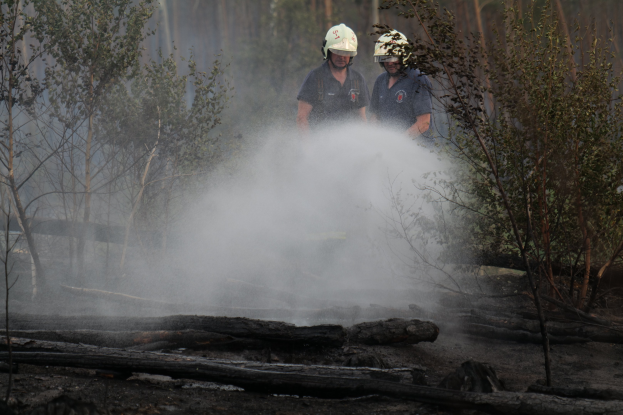 Zwei Feuerwehrleute mit Helmen sprühen Wasser auf ein Buschfeuer in einem bewaldeten Gebiet mit Holzstämmen auf dem Boden und Bäumen im Hintergrund.