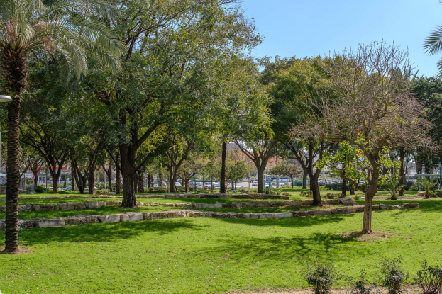 Ein Park mit grüner Wiese, Pflanzen, Bäumen und einem Lichtmast links, mit einer Palmenpflanze darunter, sowie Fahrzeugen, Gebäuden und einem klaren blauen Himmel im Hintergrund.