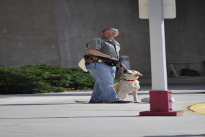 Mann fängt Hund auf der Straße mit einer Stange, Namensschild, Pflanzen und einem Gebäude im Hintergrund.